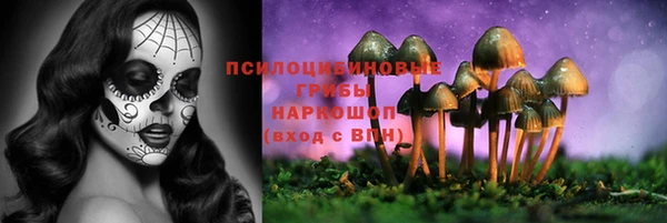 синтетический гашиш Алексин
