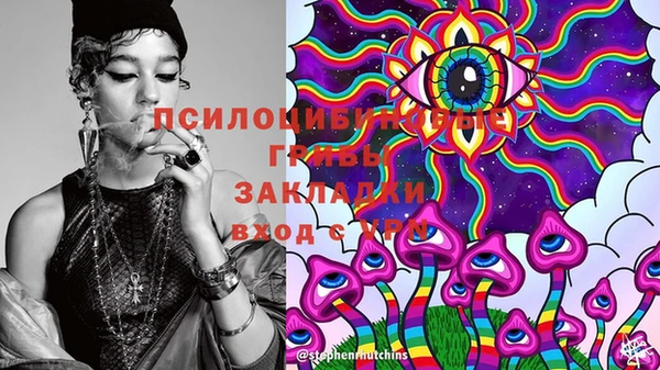 синтетический гашиш Алексин