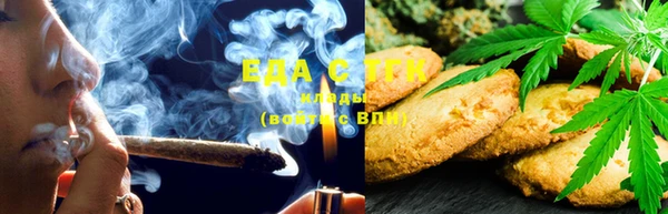 гашик Алзамай